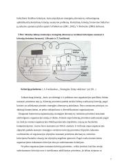 Įmonės plėtros strategijos vertinimas: A. Dambrausko pieno ūkis 7 puslapis