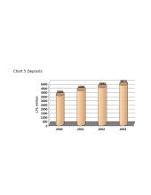 Įmonės pristatymas: Joint Stock Company Vilniaus bankas Group 11 puslapis