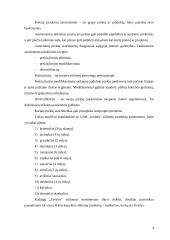 Įmonės produktų analizė: UAB "Javinė" 4 puslapis