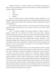 Įmonės rinkodaros analizė: prekybos juvelyriniais dirbiniais UAB "Fortūnatas" 5 puslapis