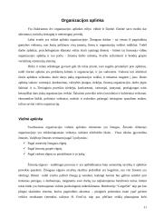 Įmonės steigimas: UAB "CargoNet" 11 puslapis