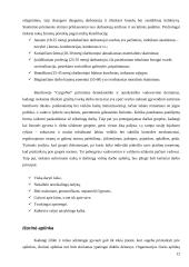 Įmonės steigimas: UAB "CargoNet" 12 puslapis