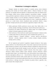 Įmonės steigimas: UAB "CargoNet" 17 puslapis