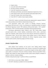 Įmonės steigimas: UAB "CargoNet" 6 puslapis