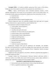 AB "Klaipėdos baldai" strateginis planas 14 puslapis