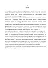 AB "Klaipėdos baldai" strateginis planas 3 puslapis