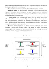 AB "Klaipėdos baldai" strateginis planas 8 puslapis
