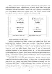 AB "Klaipėdos baldai" strateginis planas 10 puslapis