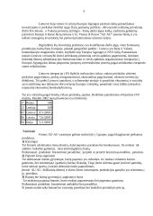 Įmonės strateginis planas: IĮ "Au au" 4 puslapis