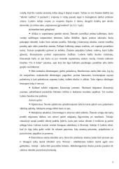 Įmonės vadovas - lyderis: prekybos automobiliais UAB "Gintaras" 5 puslapis