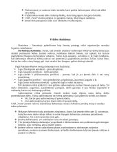 Įmonės valdymo aprašymas: krovinių  pervežimas UAB "Vesta" 10 puslapis
