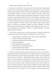 Netesybų samprata 10 puslapis