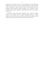 Netesybų samprata 13 puslapis