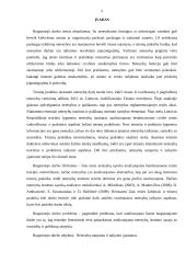 Netesybų samprata 3 puslapis