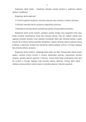 Netesybų samprata 4 puslapis