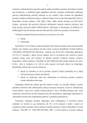 Netesybų samprata 6 puslapis