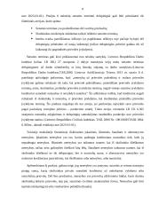 Netesybų samprata 7 puslapis