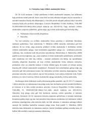 Netesybų samprata 8 puslapis