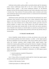 Netesybų samprata 9 puslapis