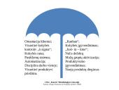 Kaizen nuolatinio tobulinimo metodas  12 puslapis