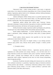 Administravimo principai (referatas) 2 puslapis