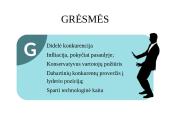  „Pigu.lt“ el. komercijos komunikacijos planas 12 puslapis