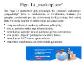  „Pigu.lt“ el. komercijos komunikacijos planas 15 puslapis