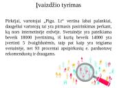  „Pigu.lt“ el. komercijos komunikacijos planas 16 puslapis