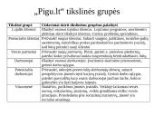  „Pigu.lt“ el. komercijos komunikacijos planas 19 puslapis