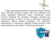  „Pigu.lt“ el. komercijos komunikacijos planas 7 puslapis