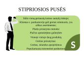  „Pigu.lt“ el. komercijos komunikacijos planas 9 puslapis