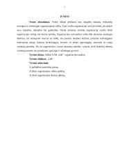 Organizacijos analizė „Lidl“ 2 puslapis