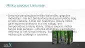 Miškų gaisrai (skaidrės) 6 puslapis