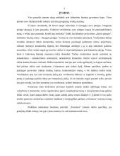 Įmonės veiklos ir skyrių pristatymas: prekyba maistu, tabaku ir alkoholianiais gėrimais UAB "Tromina" 2 puslapis