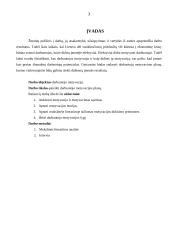 N darbuotojo motyvacijos didinimo planas 2 puslapis