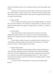 Įmonės veiklos įvertinimas remiantis kokybės vadybos principais 14 puslapis
