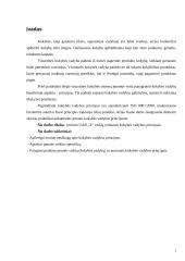 Įmonės veiklos įvertinimas remiantis kokybės vadybos principais 3 puslapis