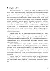 Įmonės veiklos įvertinimas remiantis kokybės vadybos principais 4 puslapis