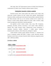 Įmonės verslo rizika ir jos mažinimo galimybės: pašto ir siuntų paslaugos AB "DHL" 11 puslapis