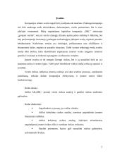 Įmonės verslo rizika ir jos mažinimo galimybės: pašto ir siuntų paslaugos AB "DHL" 4 puslapis
