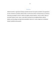 Įmonės žmogiškųjų išteklių valdymo ciklo ypatumai 13 puslapis