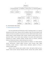 Įmonės žmogiškųjų išteklių valdymo ciklo ypatumai 8 puslapis