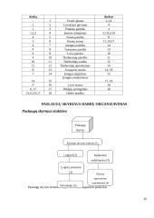 Įmonių organizavimas ir valdymas: žvejybos verslas 16 puslapis