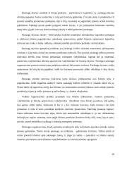 Įmonių organizavimas ir valdymas: žvejybos verslas 18 puslapis