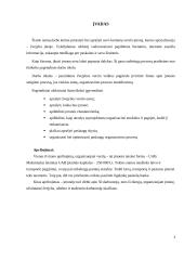 Įmonių organizavimas ir valdymas: žvejybos verslas 3 puslapis