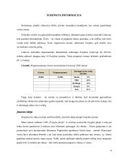 Įmonių organizavimas ir valdymas: žvejybos verslas 4 puslapis