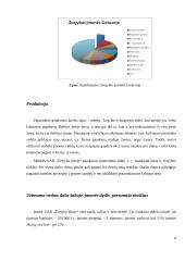 Įmonių organizavimas ir valdymas: žvejybos verslas 8 puslapis