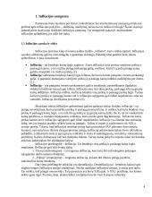 Infliacija Lietuvoje: 1994-2008 metai 3 puslapis