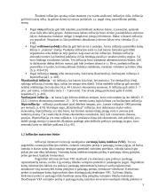 Infliacija Lietuvoje: 1994-2008 metai 4 puslapis