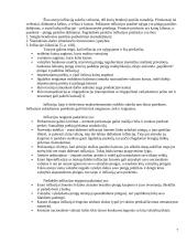 Infliacija Lietuvoje: 1994-2008 metai 6 puslapis